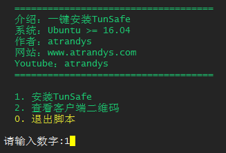 一键脚本搭建基于WireGuard协议的增强版VPN：TunSafe，支持WireGuard混淆伪装